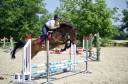 Caballo castrado Zangersheide En venta 2020 Bayo moreno por Sam R