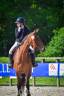 Yegua Silla Francés En venta 2013 Bayo por OGRION DES CHAMPS