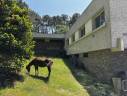 Propiedad ecuestre En venta Morbihan