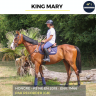 Caballo castrado Pura Sangre En venta 2019 Bayo por RECORDER (GB)