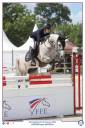Caballo castrado PFS Poni Françés de Silla En venta 2015 Tordo por PRESIDENT