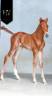 Potro KWPN Caballo de Deporte Neerlandés En venta 2025 Alazán por Perfect Silver Legend