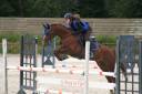 Yegua PFS Poni Françés de Silla Préstamo 2010 Alazán por MELVIN CANDY
