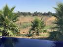 Propiedad ecuestre En venta 