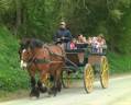 Coche enganches - Break - Otra marca - Tourisme  