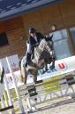 Yegua KWPN Caballo de Deporte Neerlandés En venta 2021 Tordo por JAZZ