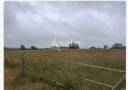 Explotación agrícola En venta Loira Atlántico