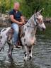 Caballo castrado Origen No Constatado En venta 2018 Appaloosa