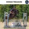 Yegua Pura Sangre En venta 2022 Negro por ROMAN CANDLE