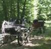 Coche enganches - Otros enganches - Otra marca -  