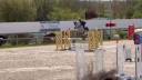 Caballo castrado Silla Francés En venta 2019 Tordo por AIRBORNE MONTECILLO