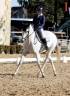 Yegua de ganadería Silla Francés En venta 2010 Tordo