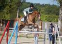 Caballo castrado PFS Poni Françés de Silla En venta 2013 Alazán tostado por Créole D'Angrie
