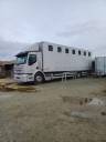 Camión para caballos Renault premuim 1997 De segunda mano
