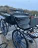 Coche enganches - Calesa - Otra marca -  