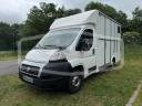 Furgoneta para caballos AP Petit Fiat Ducato 2015 De segunda mano