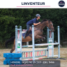 Caballo castrado AQPS En venta 2021 Bayo por khalkevi