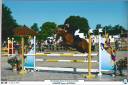 Yegua Welsh Poni (Sección B) Préstamo 2015 Alazán por IRAM D' AUDES WB