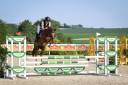 Caballo castrado PFS Poni Françés de Silla En venta 2021 Alazán por ELDORADO D'ELLE, SF