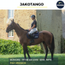 Caballo castrado Trotón Francés En venta 2019 Bayo por ubriaco