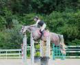 Yegua PFS Poni Françés de Silla En venta 2016 Tordo por MOVIE STAR TILIA