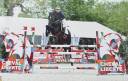 Caballo castrado Silla Francés En venta 2016 Negro por VIVALDI DU SEIGNEUR