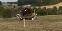 Caballo castrado BWP Caballo de Sangre Belga En venta 2020 Bayo por Quatoon de muze