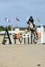 Caballo castrado Zangersheide En venta 2015 Tordo por LAVILLON