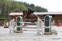 Yegua Silla Francés En venta 2018 Bayo por OGANO SITTE