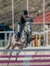 PONI D de SALTO