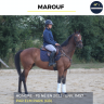Caballo castrado Pura Sangre En venta 2022 Bayo por ELM PARK (GB)