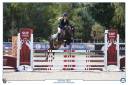 Caballo castrado PFS Poni Françés de Silla En venta 2020 Negro