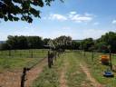 Propiedad ecuestre En venta Deux-Sèvres