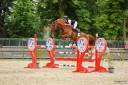 Caballo castrado Silla Francés En venta 2019 Alazán por VIVALDI DU SEIGNEUR