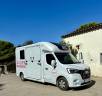 Furgoneta para caballos STX Haras stalles 2025 Nuevo