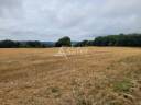 Explotación agrícola En venta Cantal
