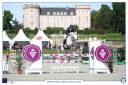Caballo entero Connemara En venta 2017 Tordo por ICE AND FIRE D'ALBRAN
