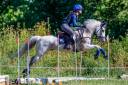 Poni C competición en venta. 