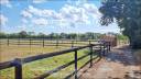 Propiedad ecuestre En venta Loira Atlántico