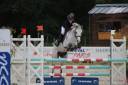 Caballo castrado PFS Poni Françés de Silla Préstamo 2011 Tordo