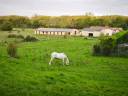 Acaballadero En venta Yonne