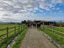 Propiedad ecuestre En venta Alto Saona