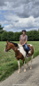 Caballo castrado Paint Horse En venta 2020 Pío