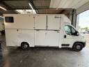 Furgoneta para caballos AP Petit Peugeot Boxer L4   2020 Nuevo