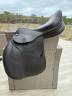 Pariani jumping saddle