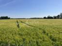 Propiedad rural En venta Eure y Loir