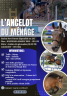 L'ancelot du m&eacute;nage  - New Forest 2021 por SILVERLEA SIMPLY RED