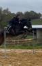 Yegua Silla Franc&eacute;s En venta 2017 Negro por JOHNNY BOY II