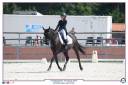 Caballo castrado PFS Poni Fran&ccedil;&eacute;s de Silla En venta 2011 Negro por HILKENS BLACK DELIGHT