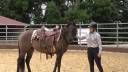 Yegua Quarter Horse En venta 2020 Grullo por JAZ GC DE PLATA